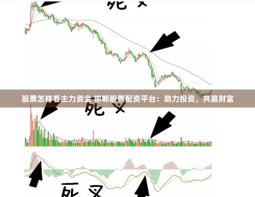 股票怎样看主力资金 邯郸股票配资平台：助力投资，共赢财富